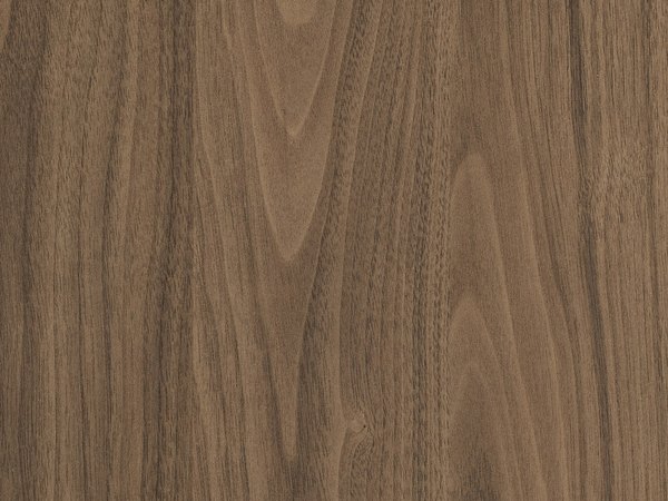 Door front, wood decor, medium